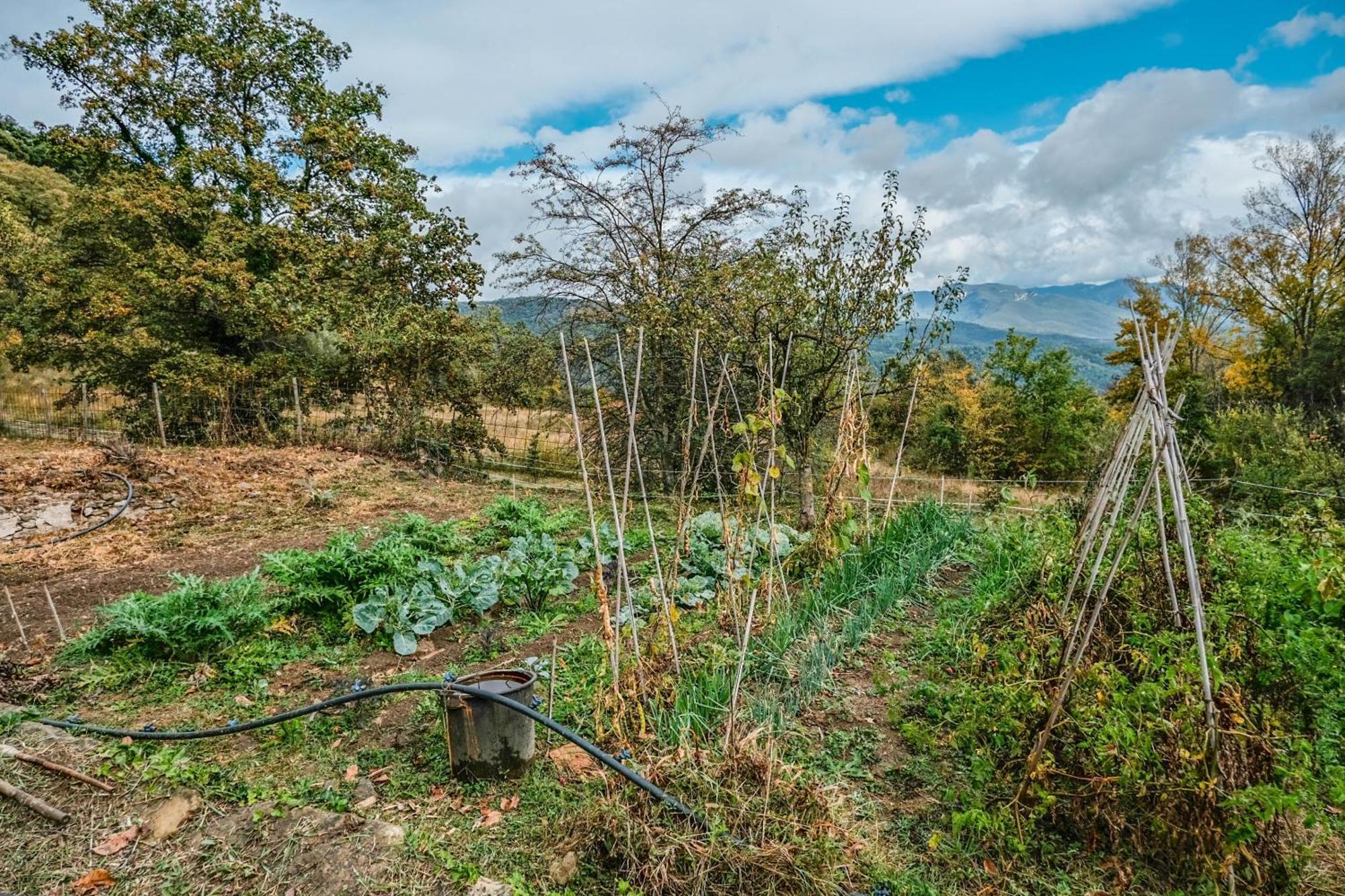 Rectoria De Castellar Villa La Vall de Bianya Kültér fotó
